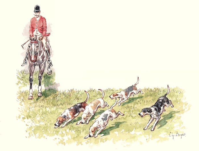 Illustration tirée de l'ouvrage Les Chiens courants français pour la chasse du lièvre (1866) - E. de Vézins - Forestié (Montauban) (16)